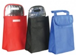 cooler bag