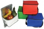 cooler bag