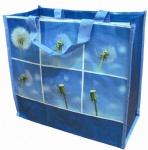 pp woven bag